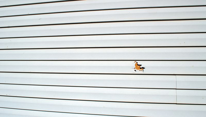 Assessing Siding Damage